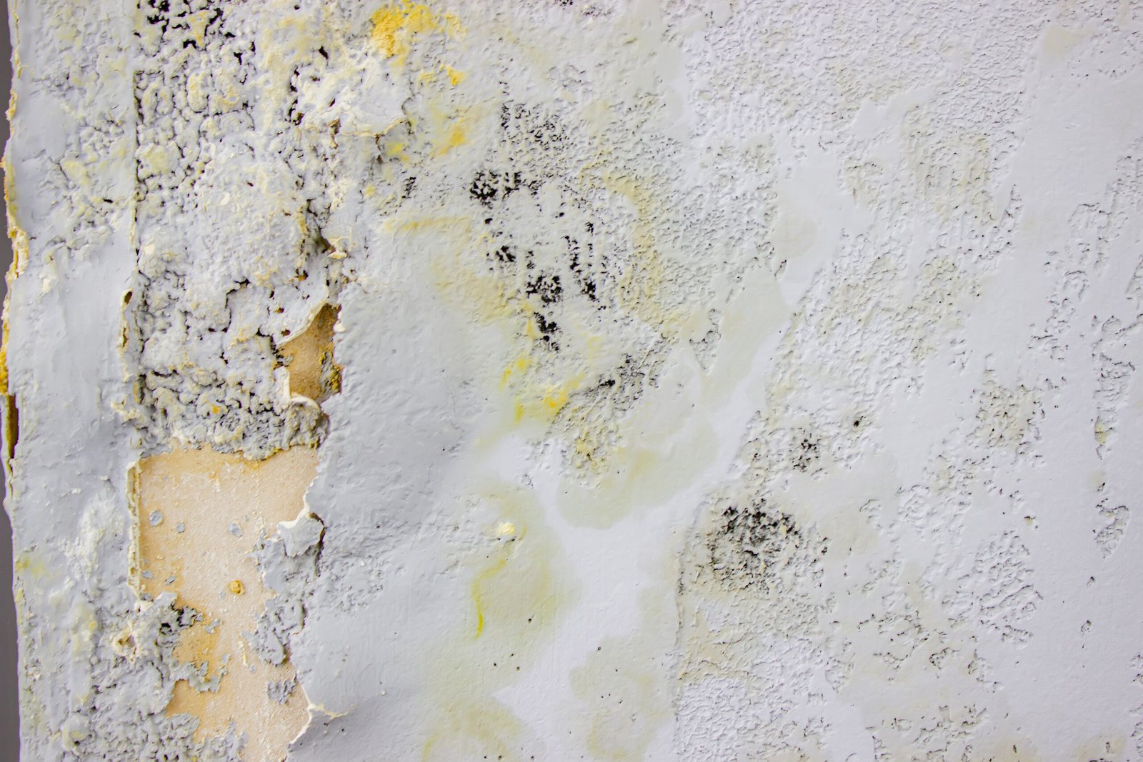 black mold on the wall. Fungus on the wall after the flooding of the house.